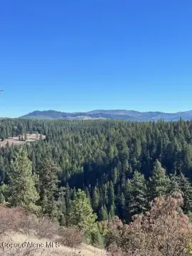 Recreational Hunting Land