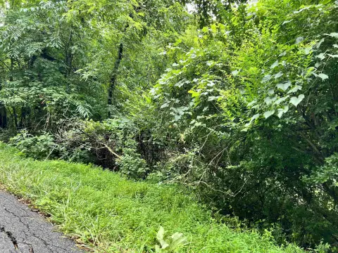 Residential Lot Near Huntington