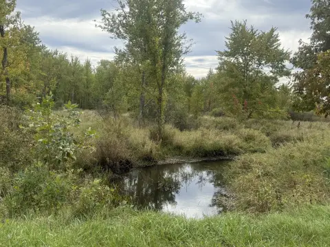 Creekside Hunting Land