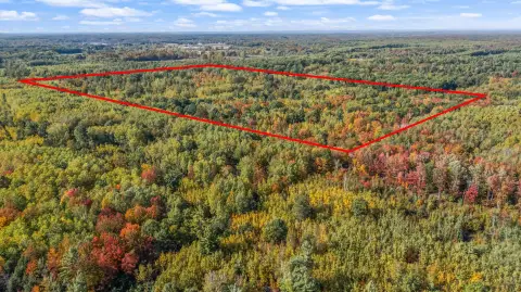 Wooded Hunting Land with Cabin