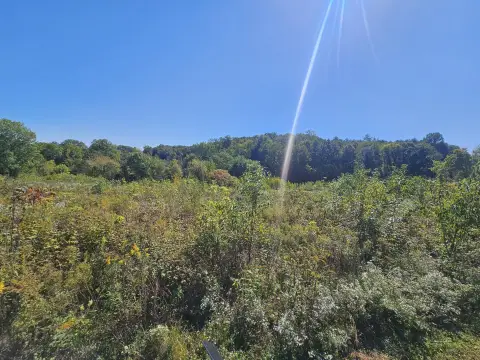 Hunting Land with Varied Terrain