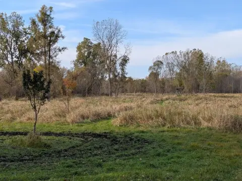 Hunting Land with Creek