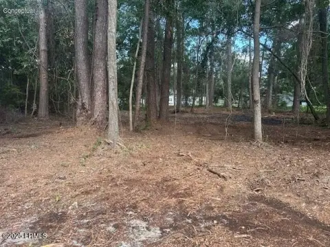 Residential Land in Burton, Beaufort