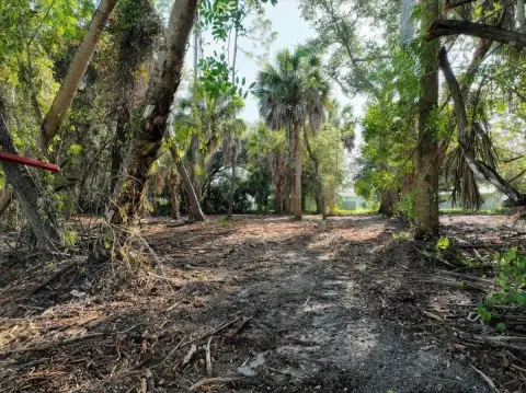 Partially Cleared Residential Lot