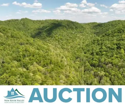 175 Acres Mountain Recreational Land