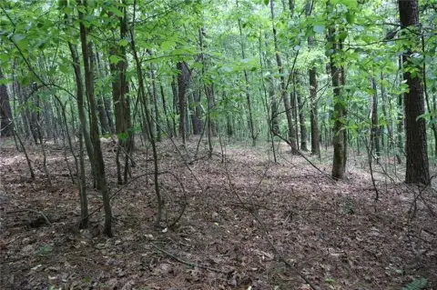 Unrestricted Land in Ellijay, GA