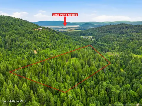 Forested Residential Building Lot
