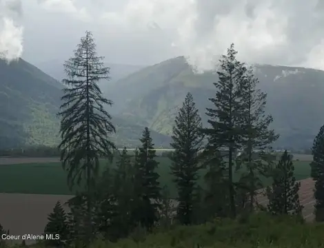 Usable Meadow Land with Electricity