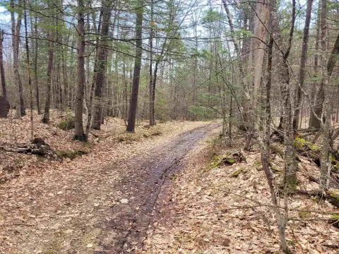 Rural Recreational Land Parcel