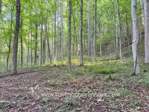 Mostly Wooded Hunting & Recreation Land