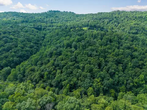 Recreation Land Tract with Woodland