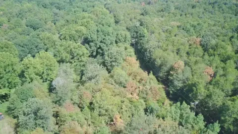 Hunting and Recreation Land Tract