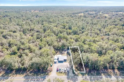 Commercial Land in Dunnellon, FL