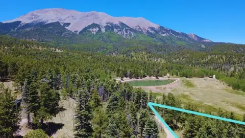 Adjoining Mountain Buildable Lots
