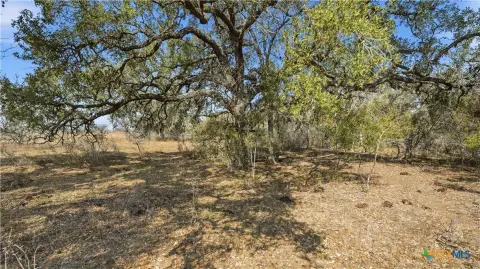 Versatile Land in Nordheim, TX