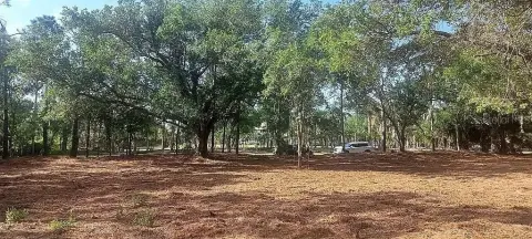 2.5 Acre Lot in Punta Gorda
