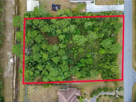 Spacious Homesite in Wedgefield, Orlando