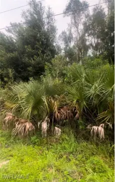 Lehigh Acres Land For Sale