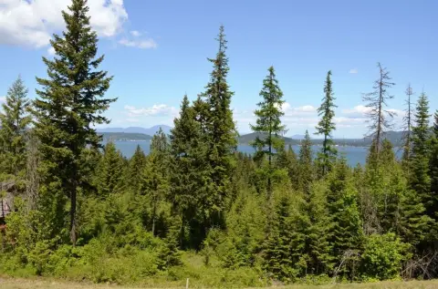 Custom-Build Waterfront Lot