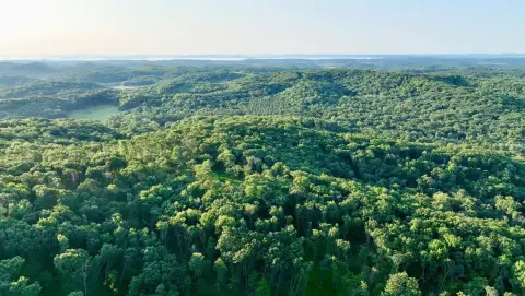 Turnkey Hunting and Recreation Land