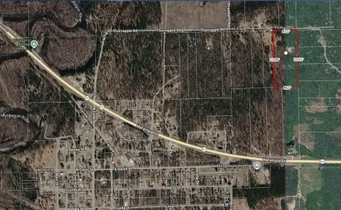 Wooded Hunting Land