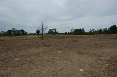 Residential Land Near Lake Bob