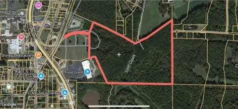 Ripley Land with Timber