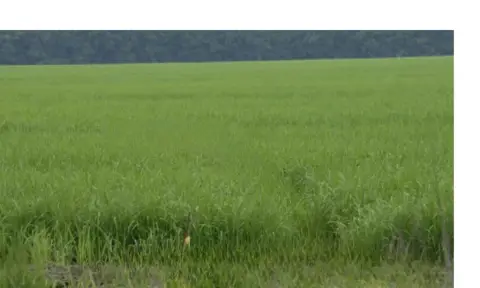 Water Valley Land Near Enid Lake