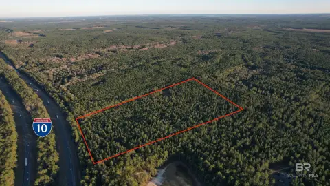 35 Acre Robertsdale Land Parcel