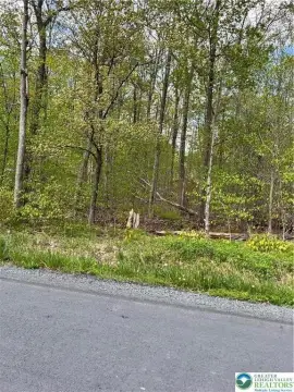 Arrowhead Lake Wooded Lot