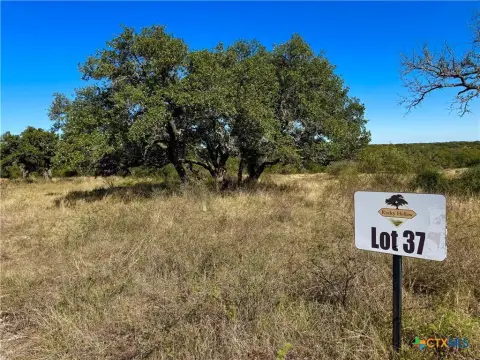 San Saba Land with Oaks