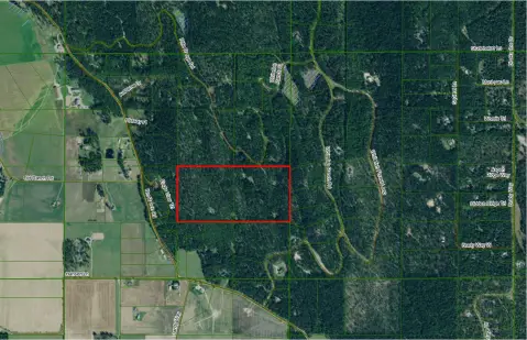 Wooded Agricultural Acreage Parcel