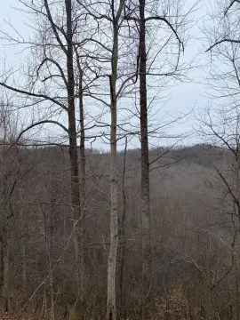 Salyersville Land for Recreation