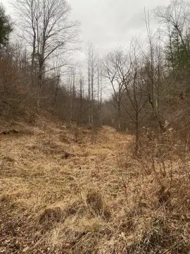 Undeveloped Recreational Land in Salyersville