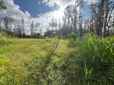 Vacant Lot in Ainaloa