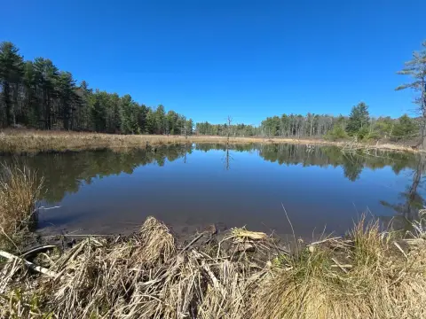 Hunting and Recreation Land