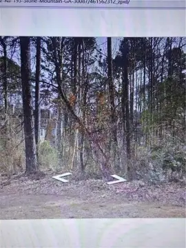 Land For Sale - Stone Mountain