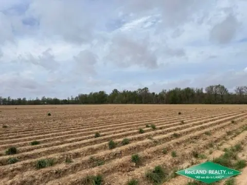 Irrigated Farmland Near West Helena