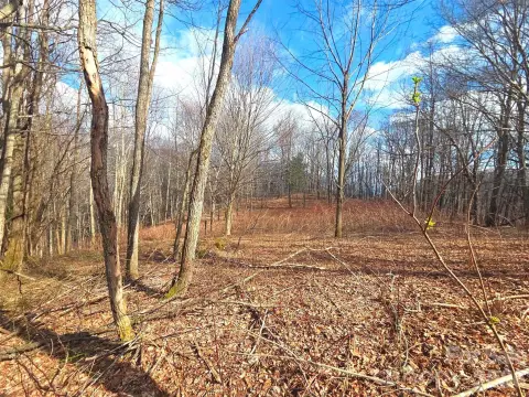 Recreation Land Parcel with Stream