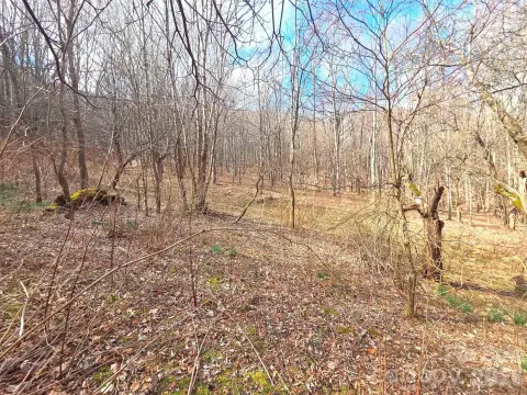 Mountain Land with Stream Access