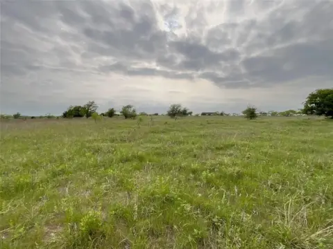 5 Acres of Texas Countryside