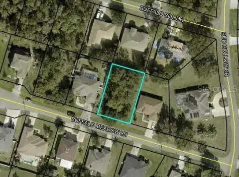 Residential Land in Palm Coast