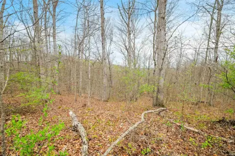 Wooded 35-Acre Brown County Paradise