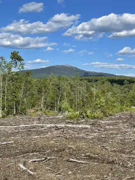 29 Acres with Monadnock Views