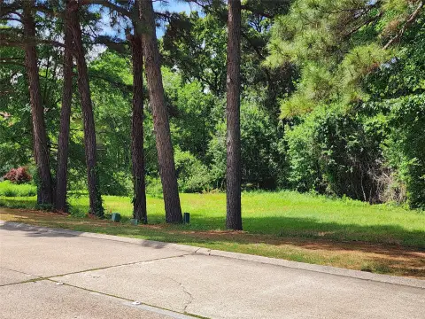 Waterfront Homesite