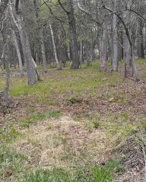 Level Lot in Amenity Filled Community