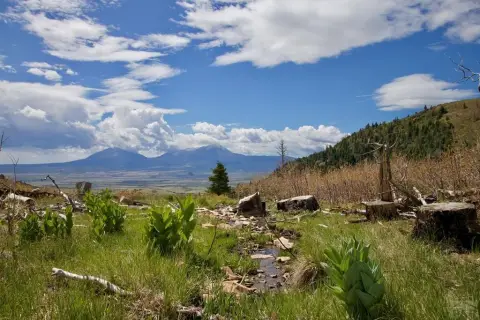 End-of-the-Road Mountain Home Site