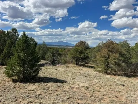 Southern Colorado Mountain Land