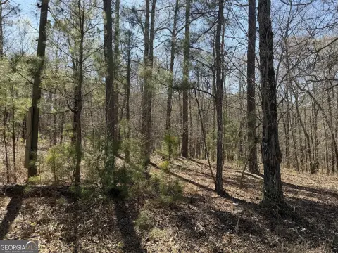 Wooded Land in Locust Grove