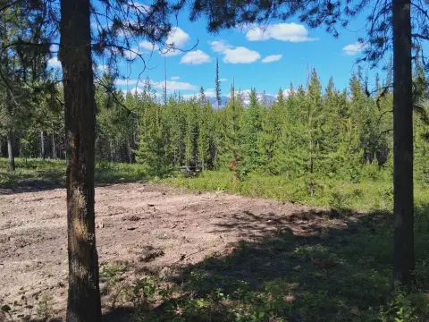 Recreation Land Parcel Near Glacier